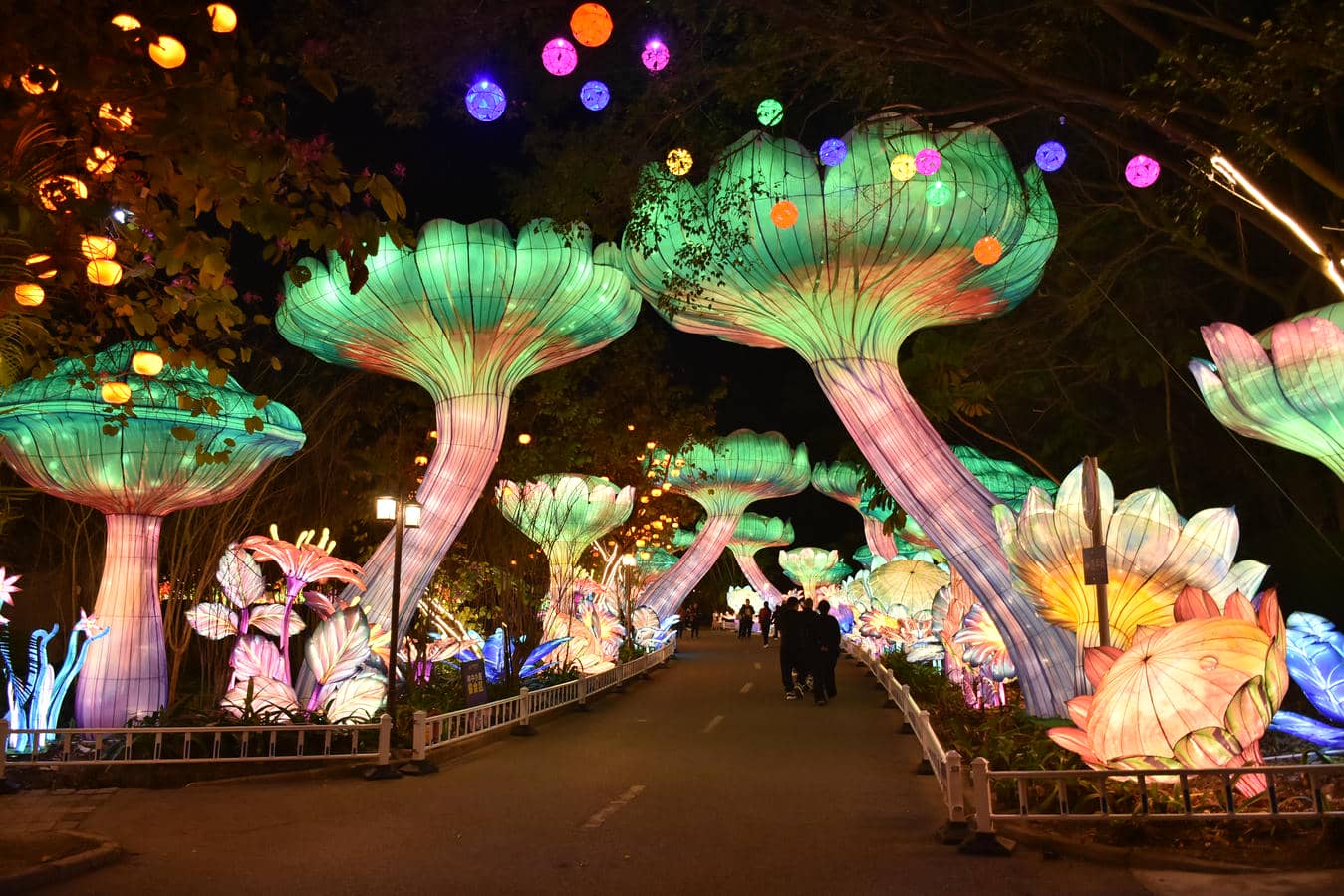 Giant illuminated trees and floral lantern displays create a fantasy garden route for a park light show