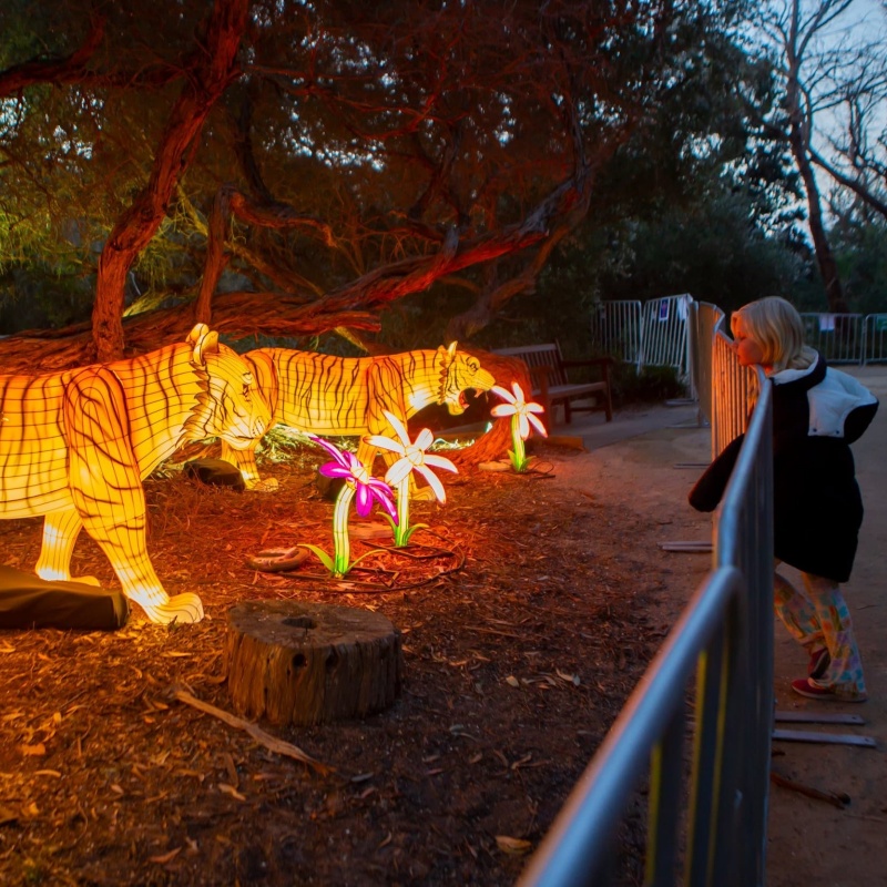 visitors walking through illuminated lantern festival attraction in park