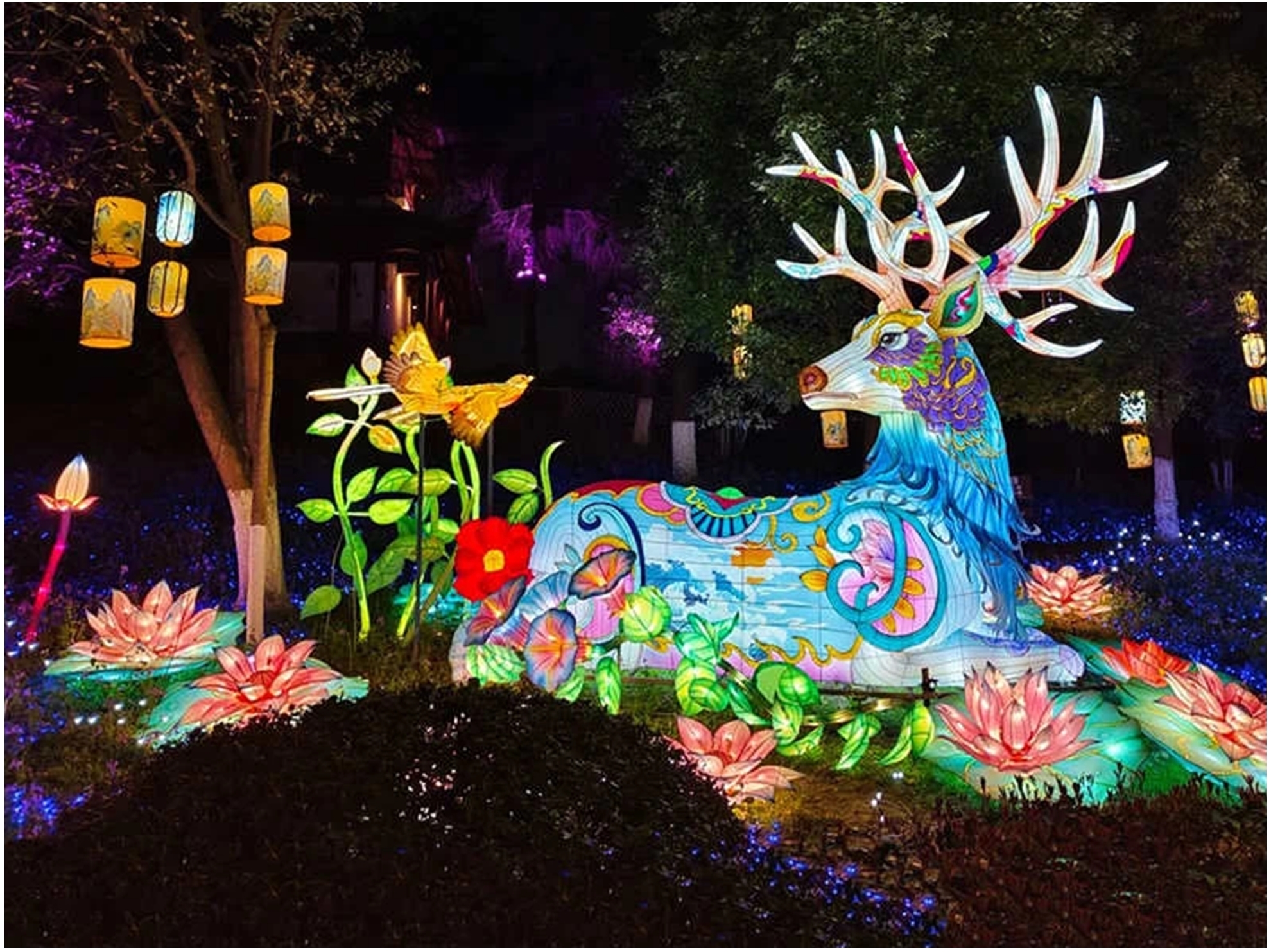 Chinese Lantern Festivals Illuminate Culture and Art (2)