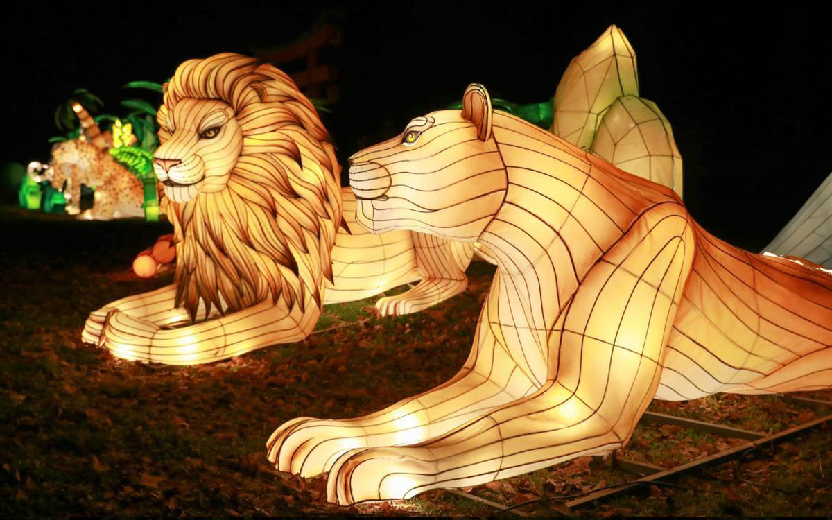Custom design of 2022 American Lighting Fair project-01 (9)