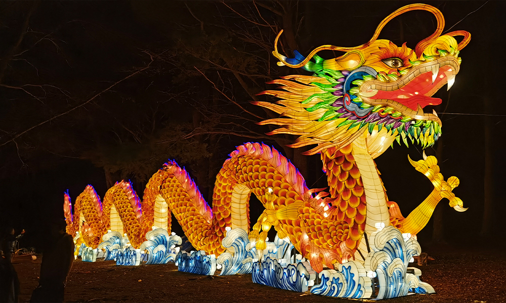 Dragon konsepsyon ak fè tablo koule (7)