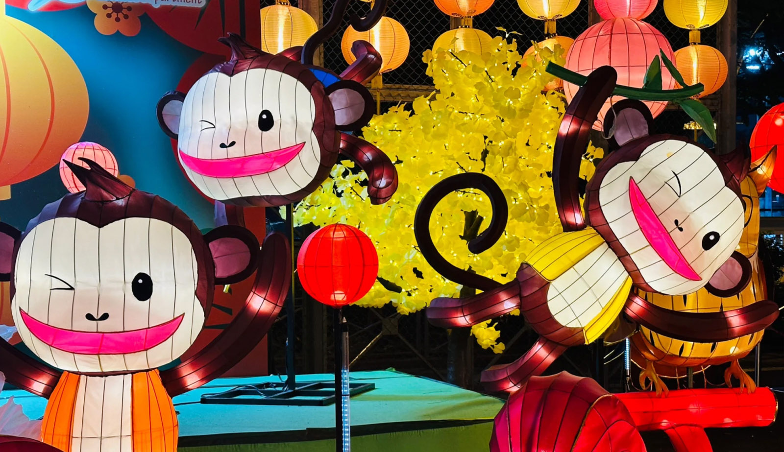 Hong Kong Mid-Autumn Lantern Festival-01 (9)