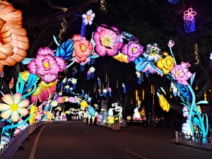 Park light show project in Penang Malaysia with colorful illuminated displays and visitor walking routes for night tourism