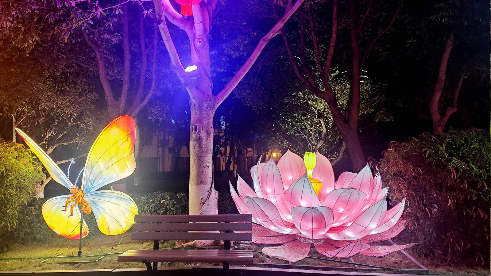 In 2023, the 14th Miyi lighting show reality summary-01 (8)