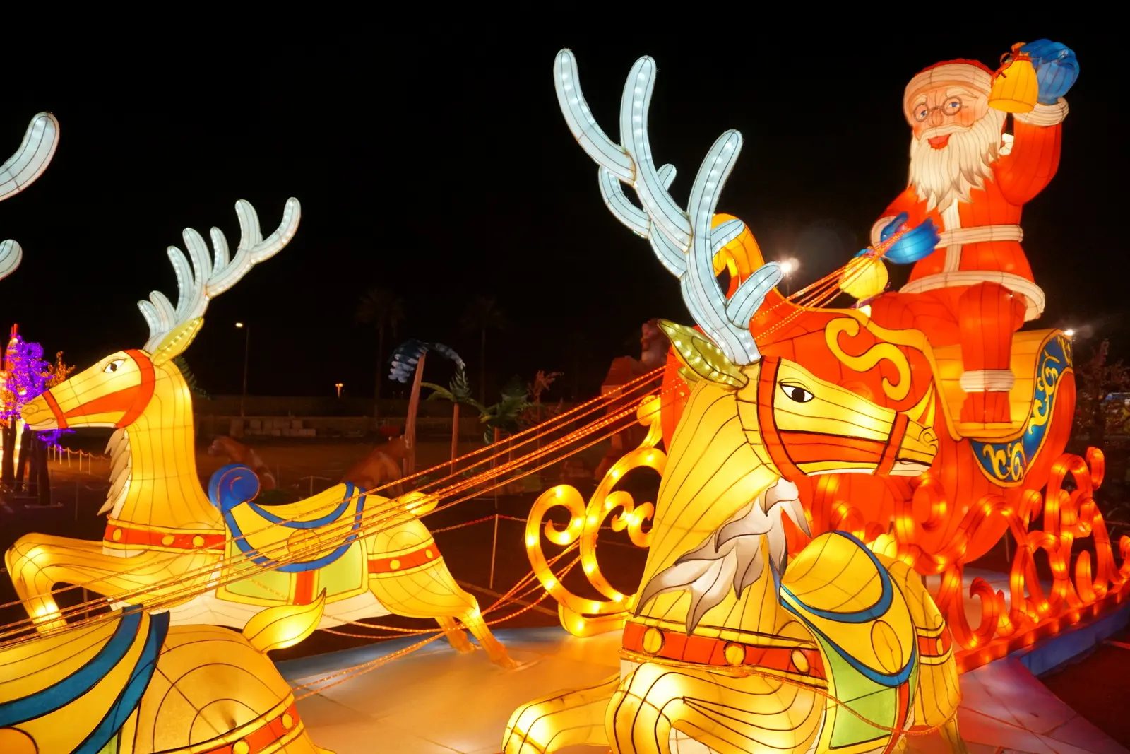 Christmas Light Display