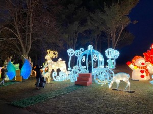 USA farm Christmas light festival with illuminated carriage display, holiday light decorations, and nighttime family-friendly visitor experience