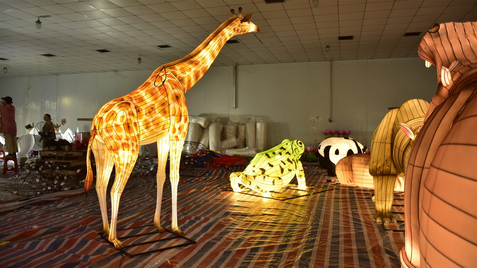 Illuminated giraffe lantern in the workshop with other animal lantern figures