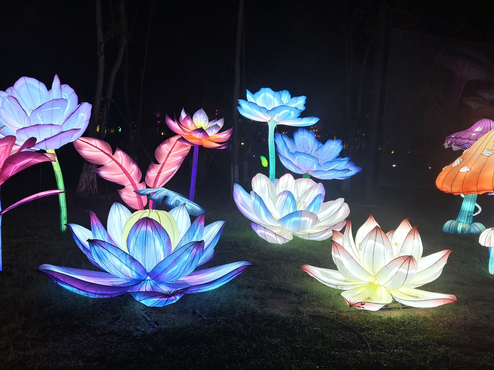 Large illuminated lotus flowers and mushroom lanterns in an outdoor night garden