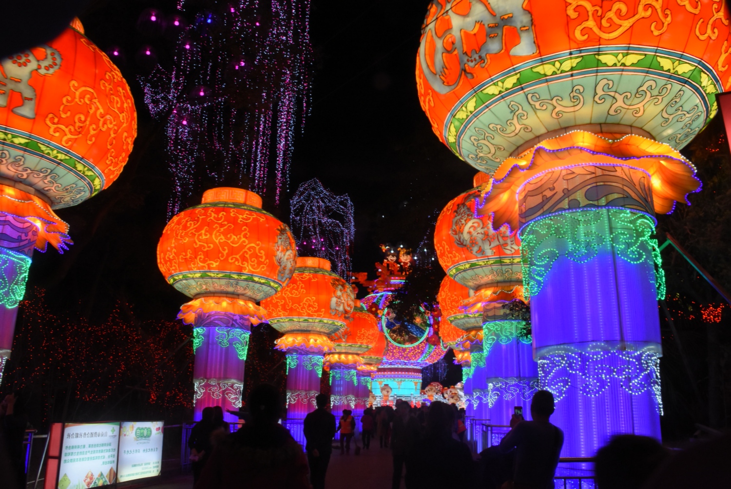 immersive-lantern-route-for-new-audience