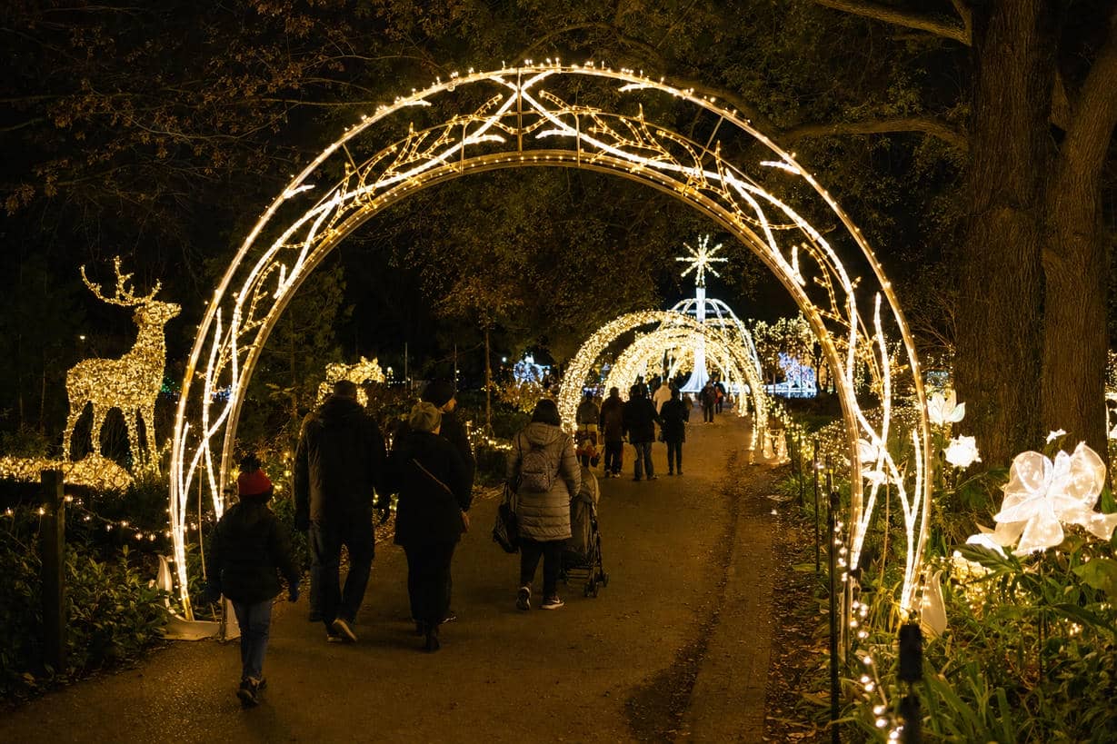 Park Holiday Light Walkthrough Route Walk-through holiday light route designed for parks and ticketed outdoor attractions