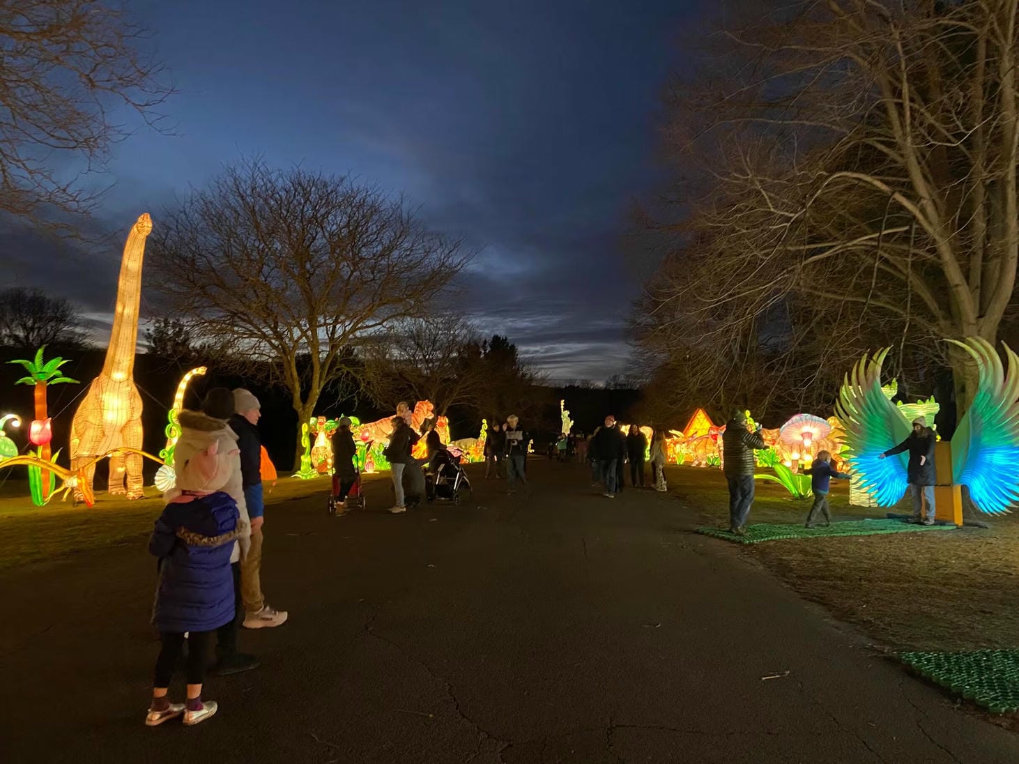 Park Lantern Festival Master Plan Overview