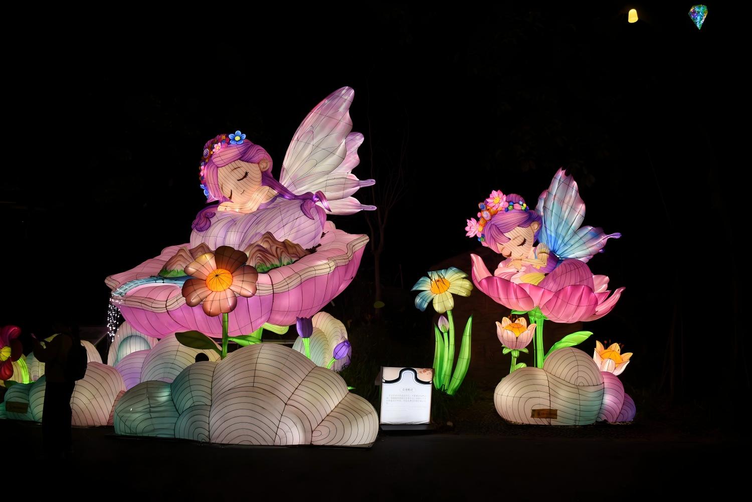 Finished Night Display for Park Lantern Show