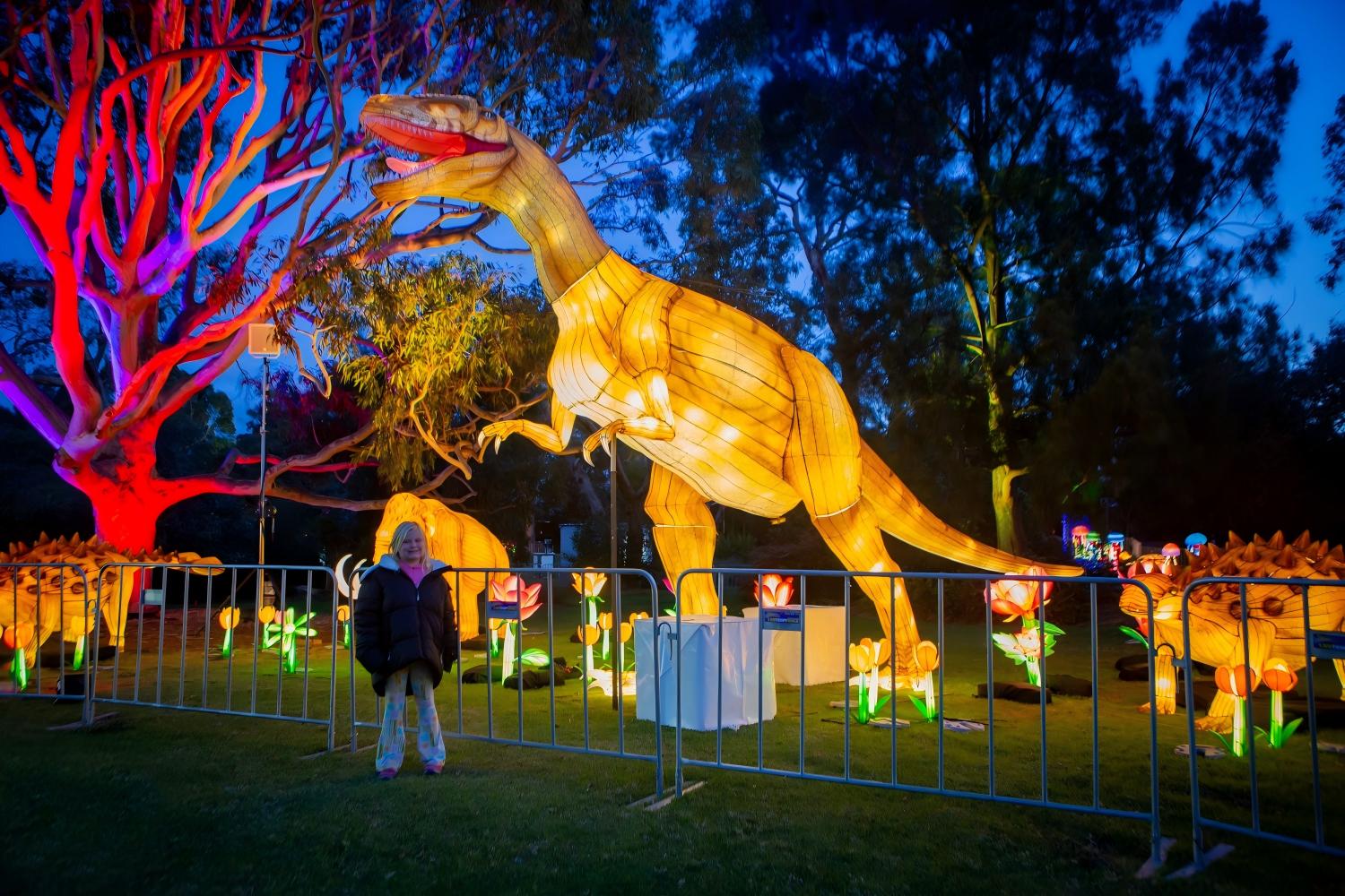 Park Lantern Show Opening Night Visitor Scene
