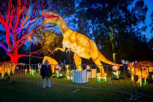 Dinosaur lantern festival project for an Australian theme park with large illuminated dinosaur displays for families and evening visitors