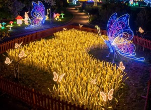 Butterfly-themed Farm light show project in New Jersey USA with family-friendly outdoor holiday lighting displays and night tourism route