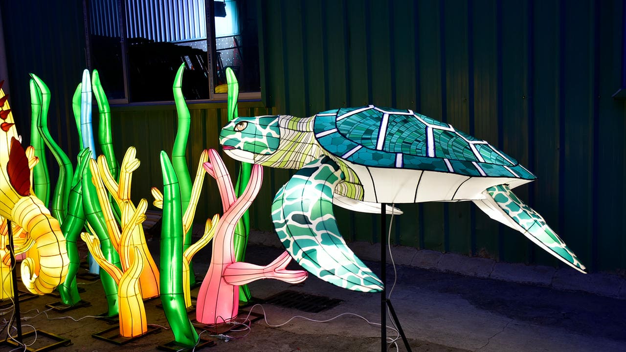Green sea-turtle lantern beside illuminated coral and seagrass forms