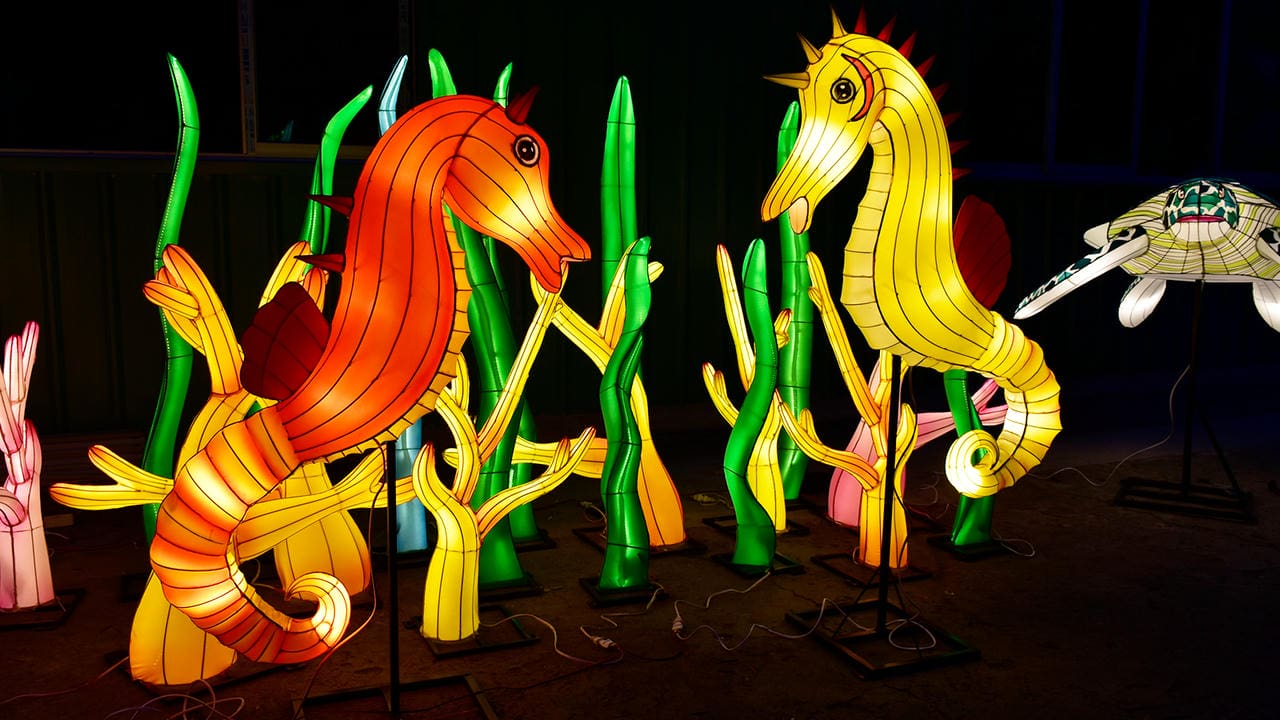 Orange and yellow seahorse lanterns among illuminated coral and seagrass forms