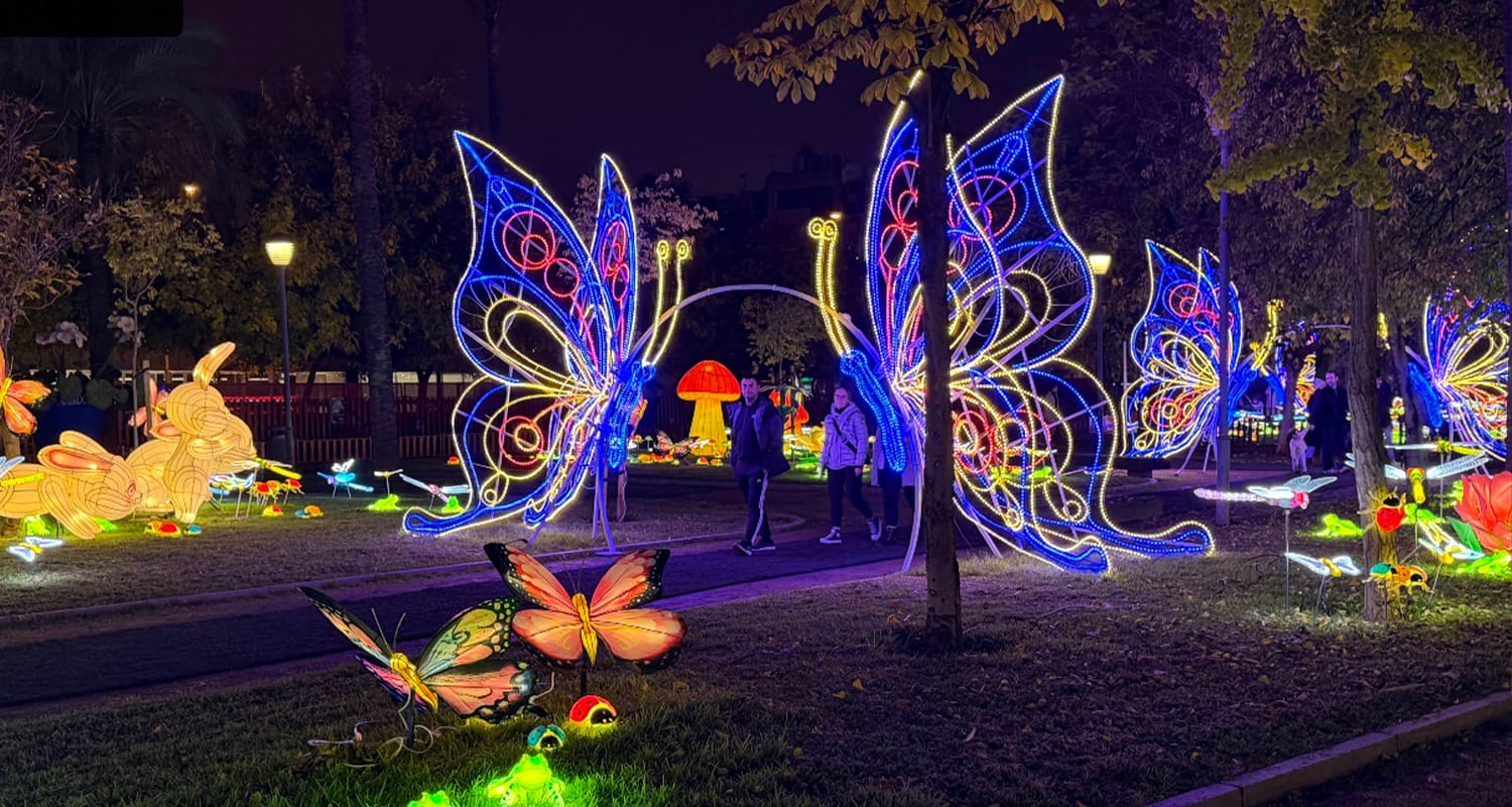 Spain Butterfly Theme Park Light Show