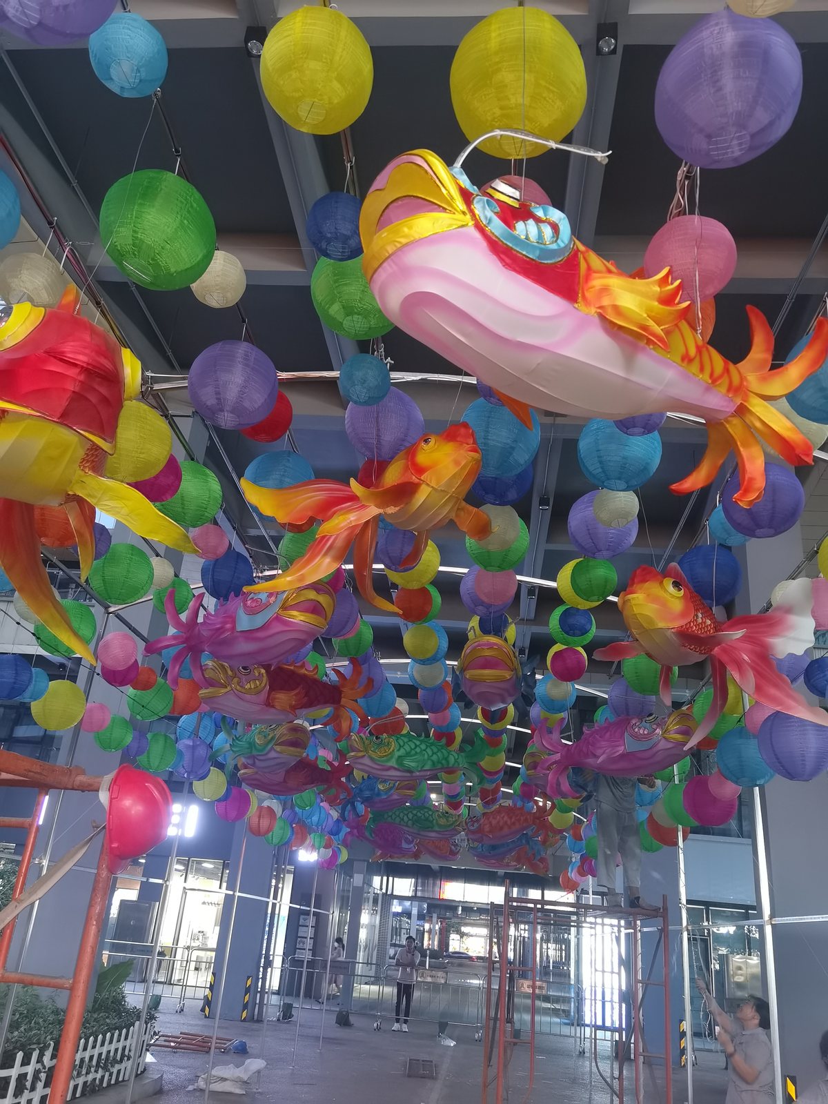 Real suspended fish lanterns and colorful round lanterns photographed during installation
