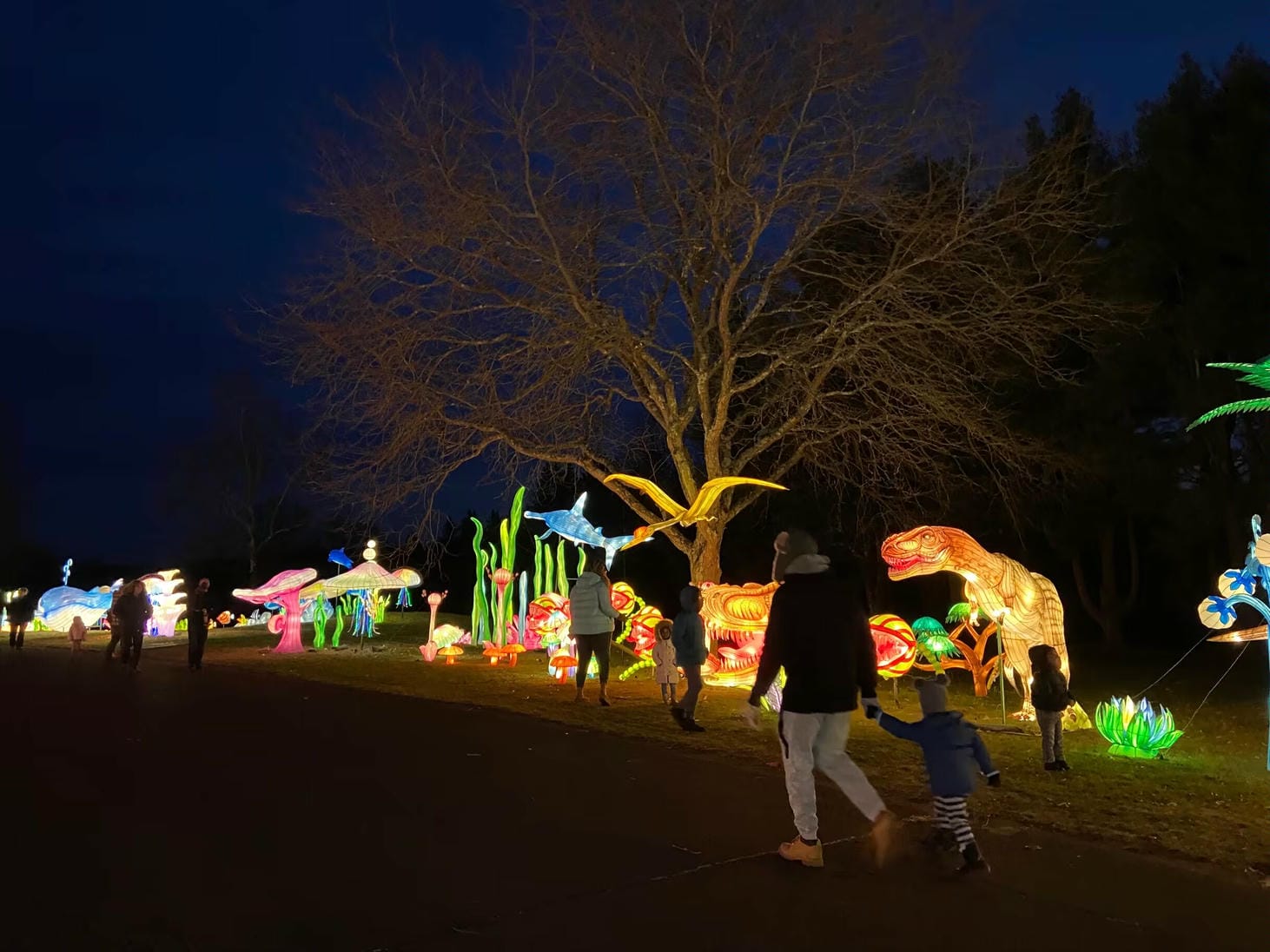 Ticketed Farm Light Show Project Example