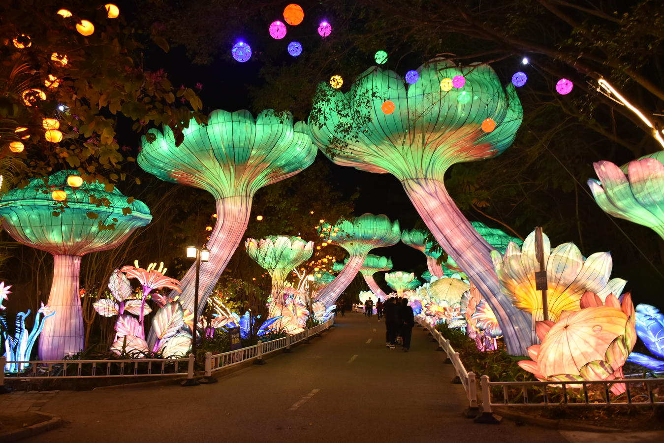 Themed Lantern Display for Event Content Promotion Real traditional Chinese lantern theme display suitable for staged event reveals and social media promotion