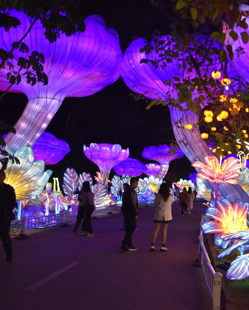 festival lights