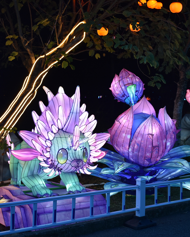 Lantern light show
