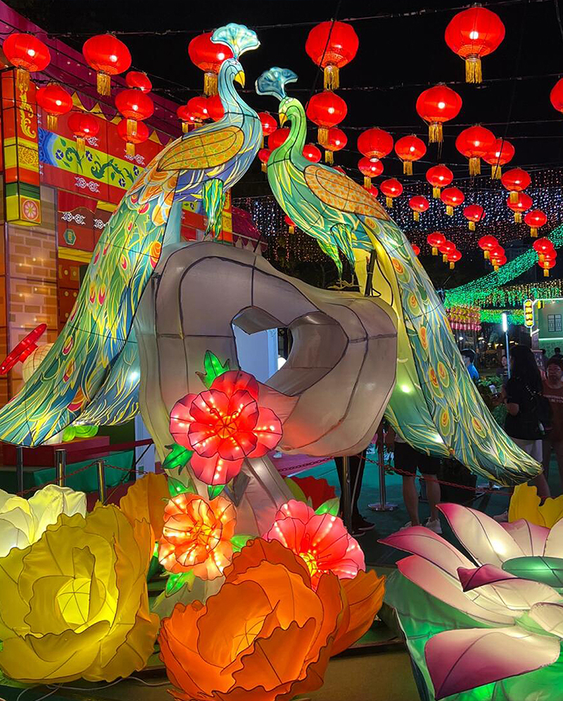 festival lights